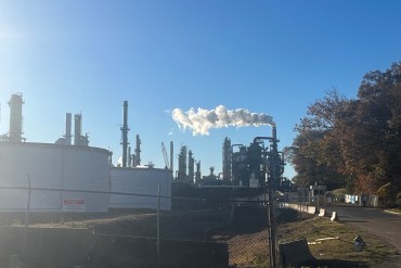 Journalists Drill Down on Bird Flu Risks, Opioid Settlement Payouts, and Fluoride in Drinking Water
