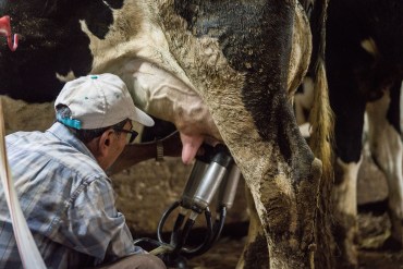 The New Covid Vaccine Is Out. Why You Might Not Want To Rush To Get It.