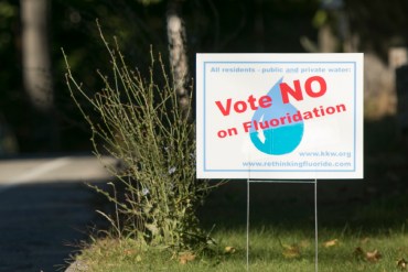 Journalists Assess the Risks of Bird Flu and the Impacts of Medicaid ‘Unwinding’