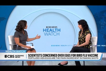After Grilling an NIH Scientist Over Covid Emails, Congress Turns to Anthony Fauci