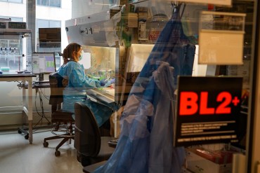CDC’s Acting Chief Promises a Return to Stability in a Tumultuous Moment