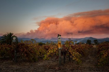 Farmworkers Face Daunting Health Risks In California’s Wildfires