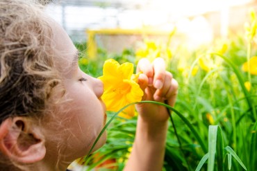 Nosing In on Kids Who Had Covid and Lost Their Sense of Smell