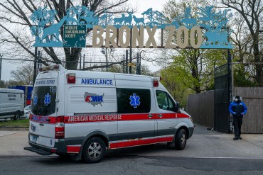 ‘Is This Worth My Life?’: Traveling Health Workers Decry COVID Care Conditions