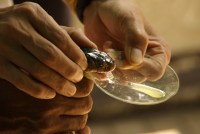 Price Of Snakebite Drug Is Sky High, But New Competitor Unlikely To Lower Costs