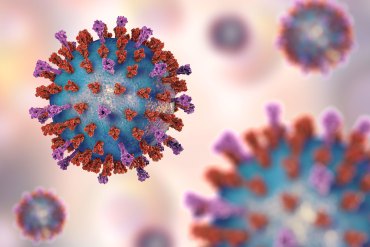 Au Revoir, Public Health Emergency