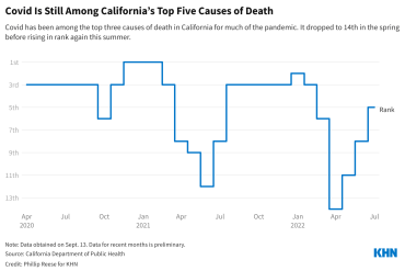 Clearing Pollution Helps Clear the Fog of Aging — And May Cut the Risk of Dementia