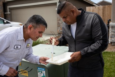 Rural California Hatches Plan for Engineered Mosquitoes to Battle Stealthy Predator