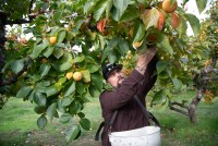 Farmers, Barbers, and GOP Lawmakers Grapple With the Fate of ACA Tax Credits