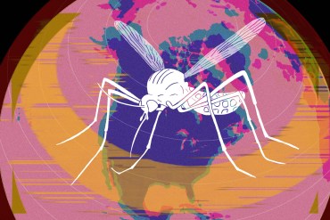 Climate Change May Push the US Toward the ‘Goldilocks Zone’ for West Nile Virus