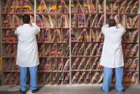 Health Care In America: An Employment Bonanza And A Runaway-Cost Crisis